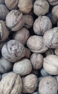 گردو درجه یک آق داغ