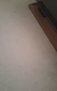موکت ظریف مصور