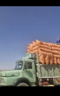 یونجه کاه درجه یک