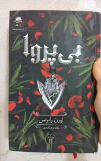کتاب دست دو بی پروا