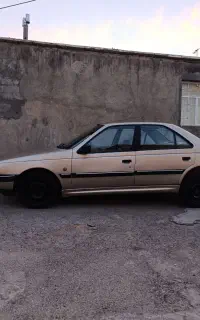 پژو۴۰۵