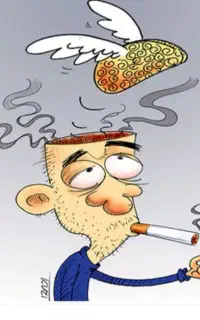 ترک تضمینی. گیاهی. همراه با تسویه خون و کبد