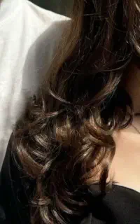 بدلیجات