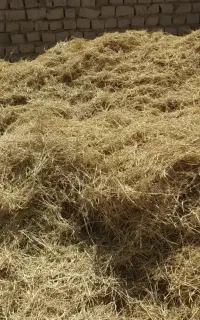 کراویه