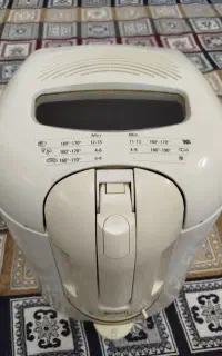 سرخ کن آلمانی بوش
