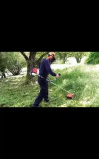 خدمات باغبانی، سمپاشی، علف‌زنی، هرس و قطع‌درختان