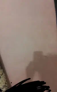 موکت