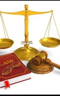 وکیل ترازنامه شرکت کارگذار ارزدیجیتال هوش مصنوعی