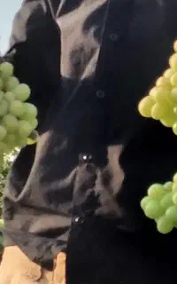 ابغوره و غوره