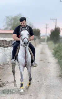 اسب
