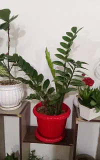 نظافت راه پله با آقا خانموم انجام میدهیم