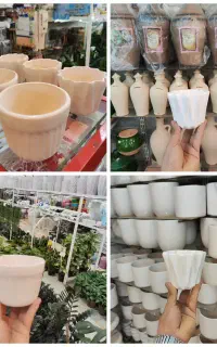 گلدان کاکتوسی سایز کوچک سرامیکی سرامیک ساکولنت