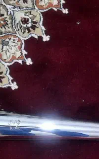 اگزوز