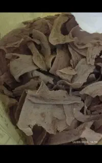 نان خشک تمیز بدون کپک