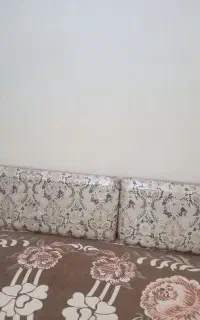 6عددپشتی