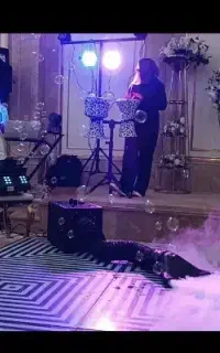 دیجی خانوم dj