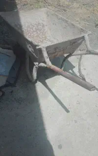 فرغون