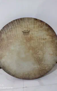 دف نو
