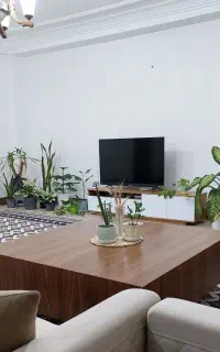 گلدان