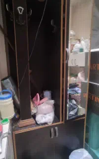 جاکفشی