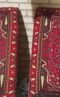 پشی