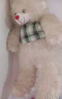 خرس بزرگ
