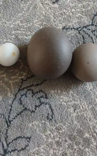سنگ اسیابی طبیعی اصل