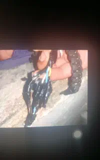 نصب و سرویس کولر آبی برق کاری ساختمان
