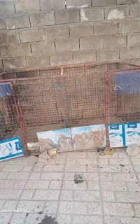 قفس