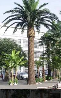 درخت مصنوعی ارتفاع ۶ و ۴ متربرای پروژه های بزرگ