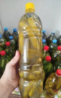 خیارشور ویژه خونگی