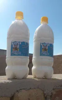 شیرالاغ