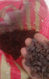کشمش ضایعاتی