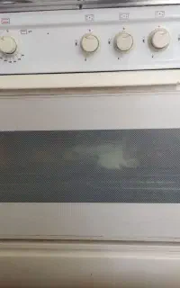 فرگاز سینجر