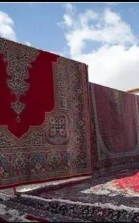قالیشویی تمام اتوماتیک دلفین