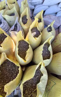 فروش کود کبوتر گورچین خالص درجه یک فضله