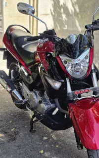 سوزوکی اینازوما بچه بیکینگ