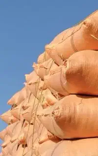 کاه