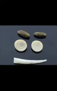 هبهاب
