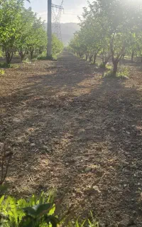 استخدام باغبان کارگر