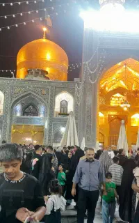 سفر مشهد مقدس ارزان برای جاماندگان کربلا