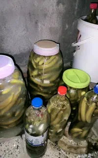 خیارشور خوشمزه با کیفت
