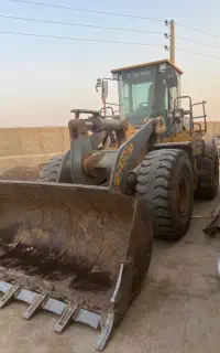 زدل 50