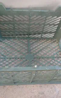سبدسیب عمده