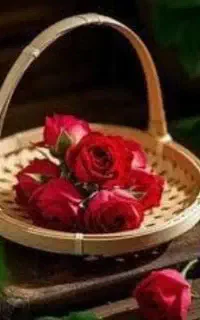 چندنفرآقاوخانوم برای گویندگی ونویسندگی