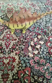 عروسک دایناسور۳۰۰۰۰۰تومان