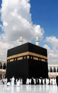 حج واجب