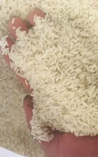 برنج هاشمی  درجه یک