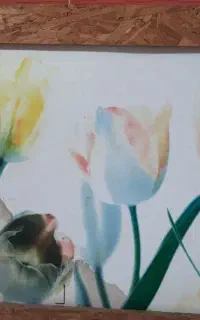 قاب چوبی فقط ۱۰۰