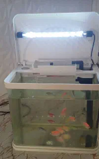 آکواریوم با ماهی
